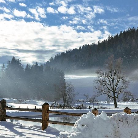 Mendola Maso Alpino Con Vista Sulle Dolomiti 아파트 외부 사진